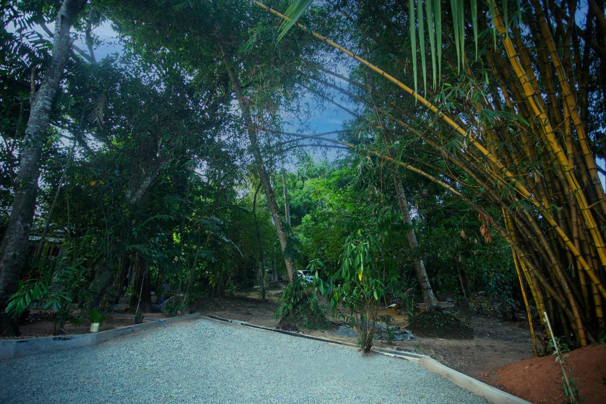 Villa Nine84 Mirissa Matara Dış mekan fotoğraf